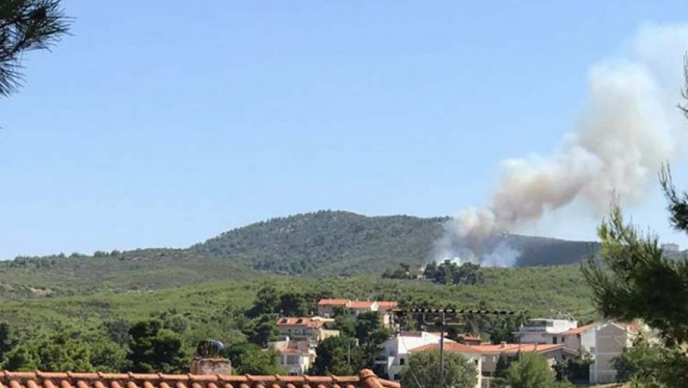 Φωτιά στη Ροδόπολη Aττικής
