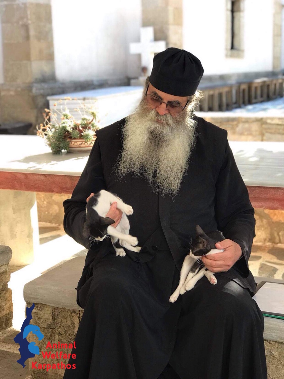 Φωτογραφίες από υιοθεσίες στην Κάρπαθο. 