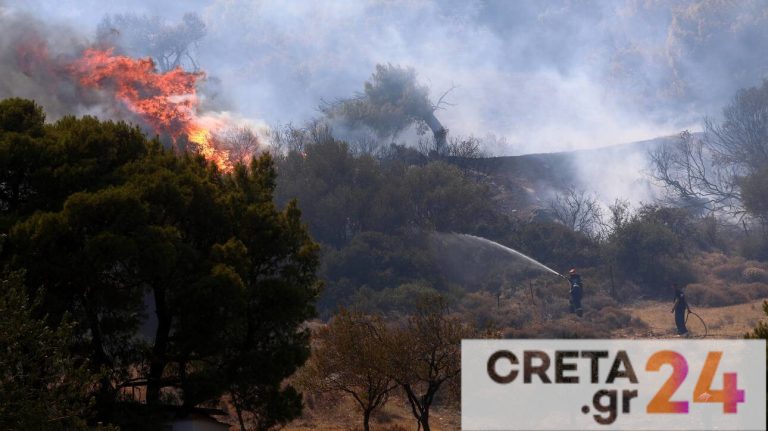 φωτιά, πυργκαγιά, καθαρισμό οικοπέδων