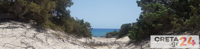 Νήσο Χρυσή