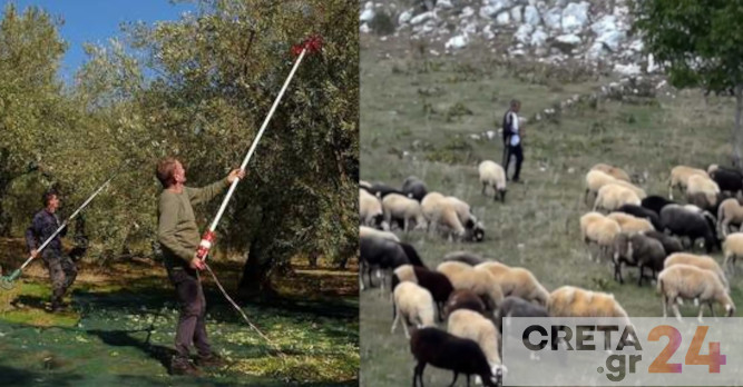 Αγρότες (και) στην Κρήτη βγάζουν στο… σφυρί την περιουσία τους , ενίσχυσης, Πάσχα χωρίς... ευρώ για τους αγροτοκτηνοτρόφους