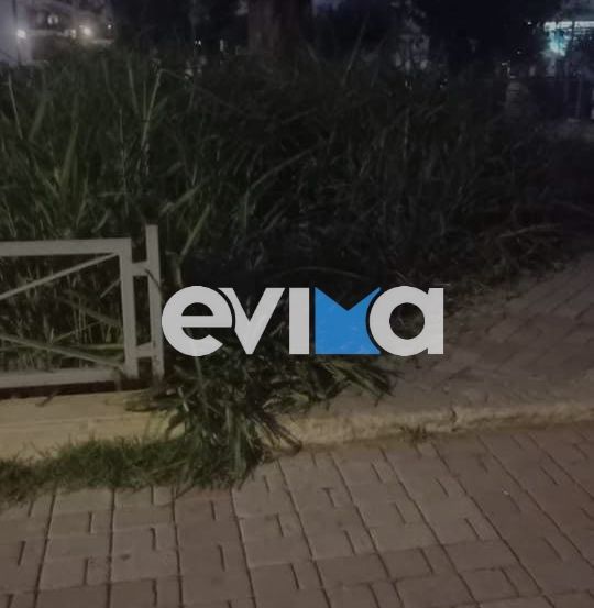ΕΥΒΟΙΑ