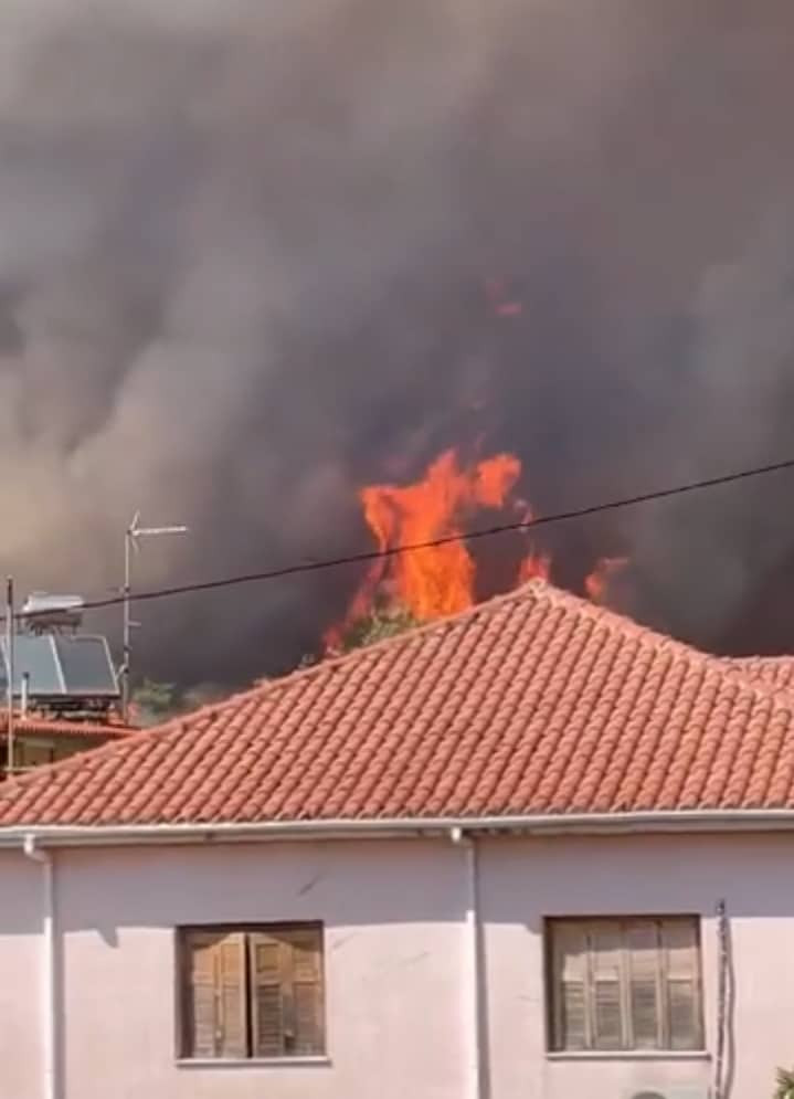 ηλεία