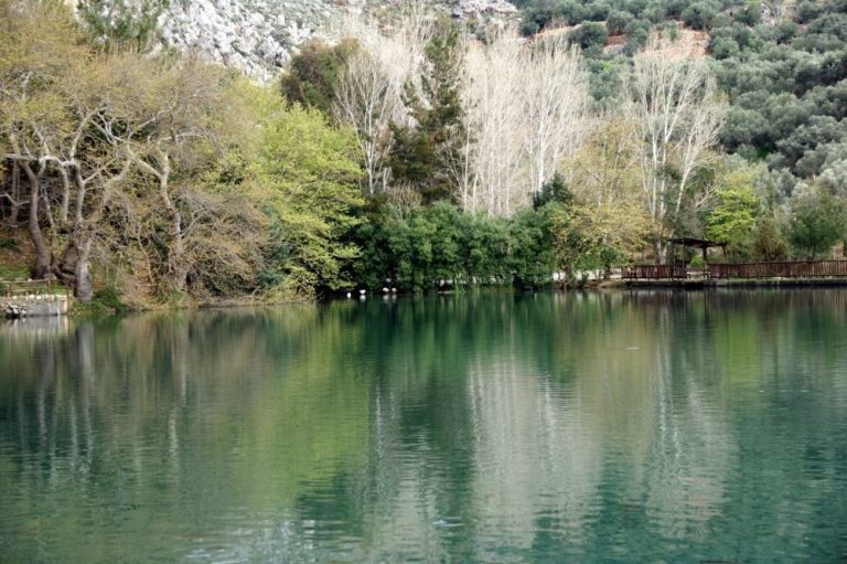 3ου θερινού σχολείου για την αειφορία