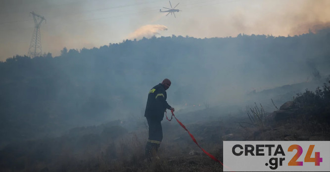 πυρκαγιάς στο Ρέθυμνο, «Στάχτη» 8 στρέμματα δασική έκτασης, Φωτιά στη Βούλα
