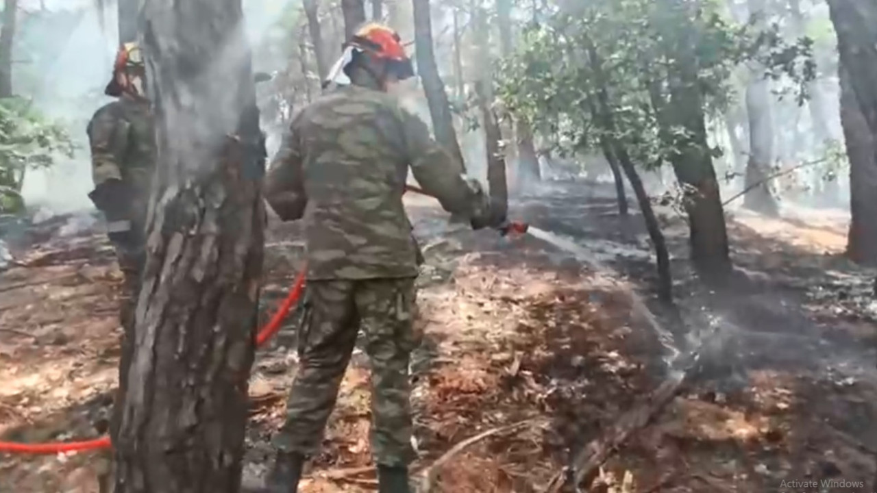 Έβρος: Η επικίνδυνη μάχη με τις φλόγες που δίνουν οι πυροσβέστες στη Δαδιά – Δείτε βίντεο