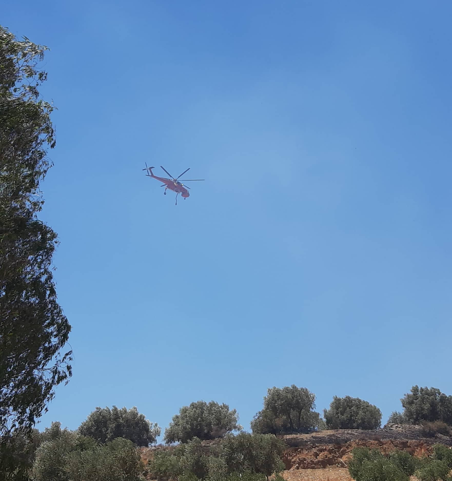 ΕΟΔΥ