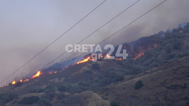 πυρόπληκτους κατοίκους του δήμου Αγίου βασιλείου