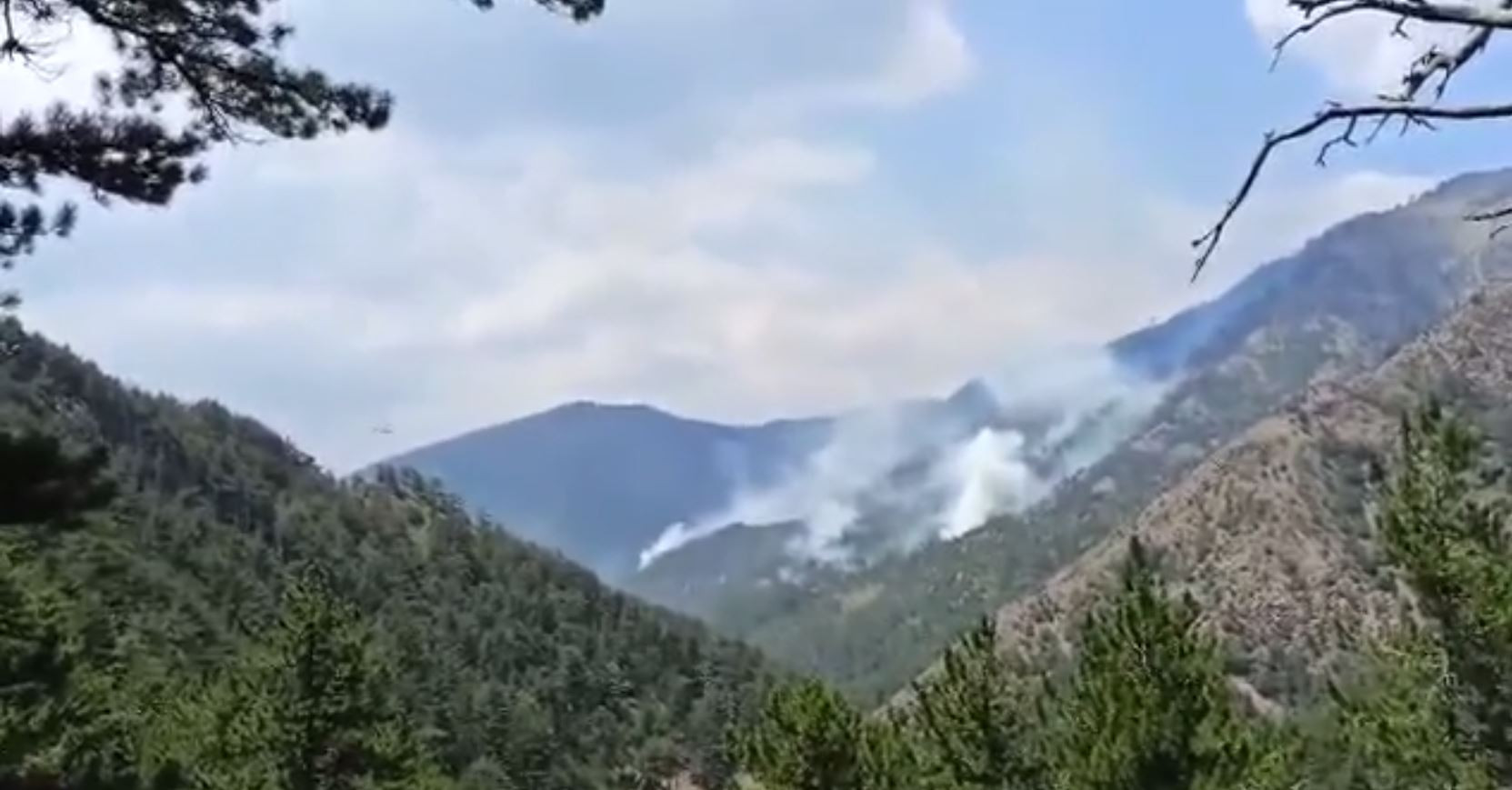 Βάλια Κάλντα