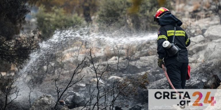 Φωτιά, Φωτιά στη Μεσσηνία