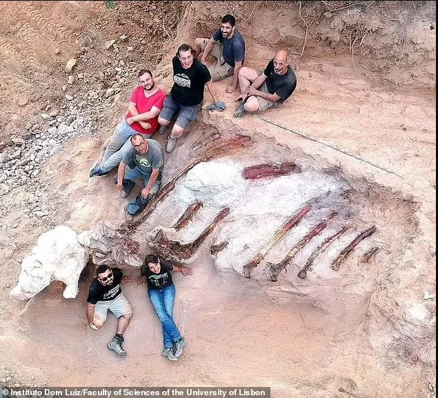 Σαυρόποδο στην Πορτογαλία