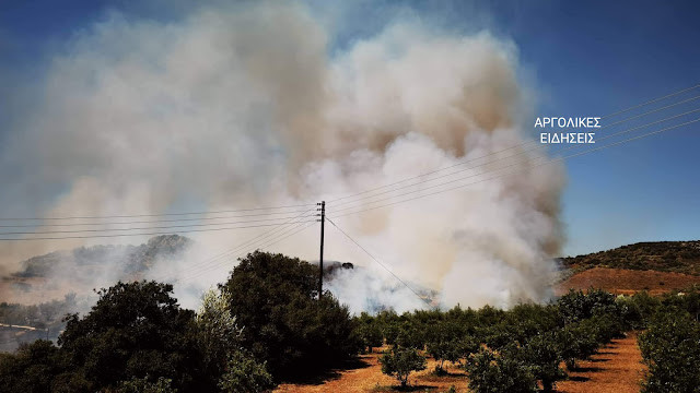 Αργολίδα