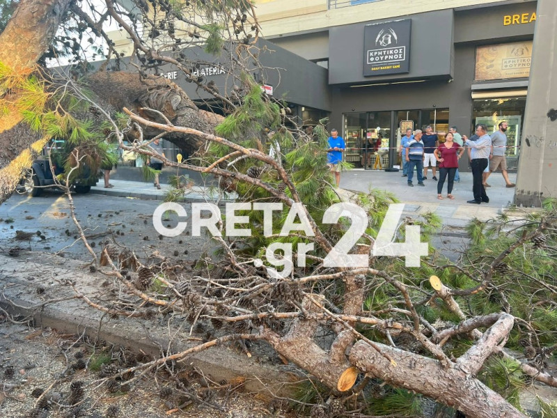 Δέντρο 