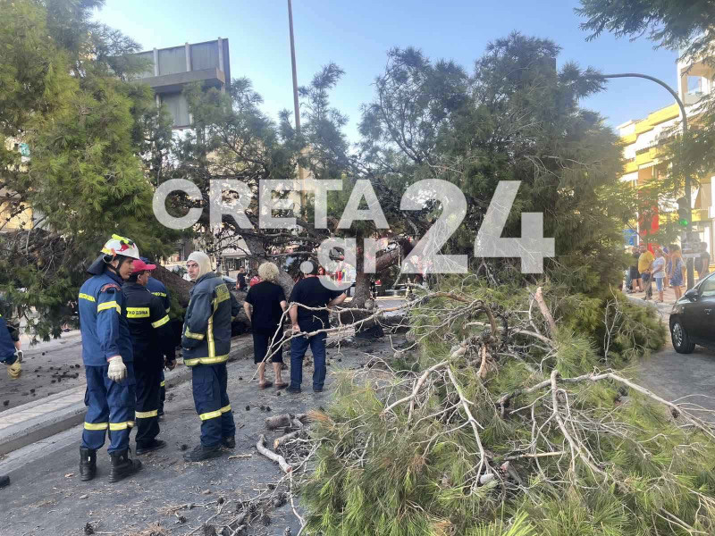 Δέντρο