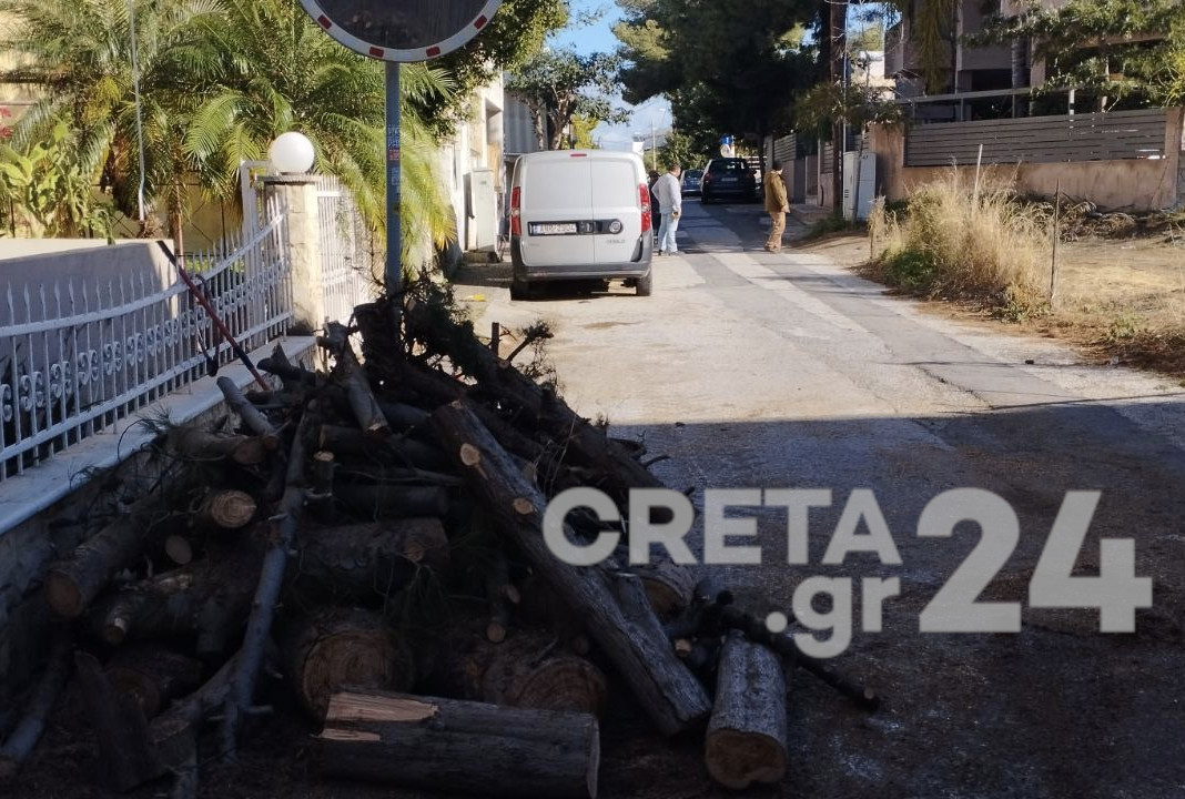 Ηράκλειο: Απομακρύνθηκε ακόμη ένα επικίνδυνο δέντρο