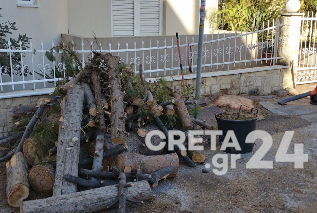 Ηράκλειο: Απομακρύνθηκε ακόμη ένα επικίνδυνο δέντρο