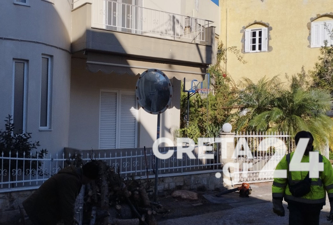Ηράκλειο: Απομακρύνθηκε ακόμη ένα επικίνδυνο δέντρο