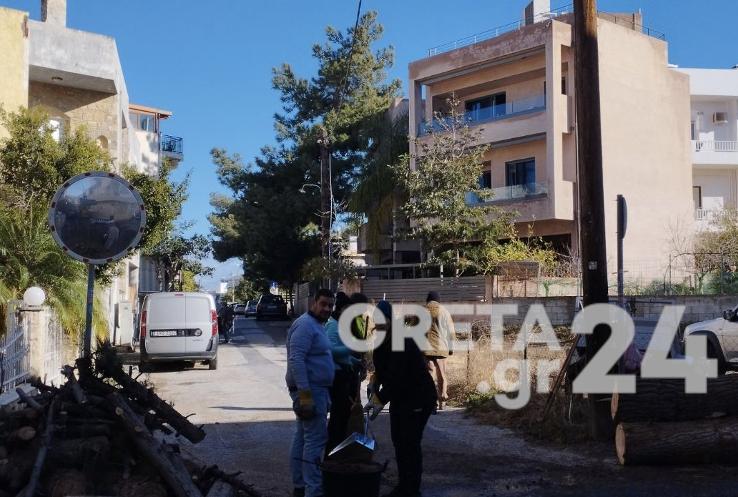 Ηράκλειο: Απομακρύνθηκε ακόμη ένα επικίνδυνο δέντρο