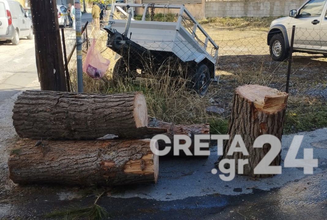 Ηράκλειο: Απομακρύνθηκε ακόμη ένα επικίνδυνο δέντρο