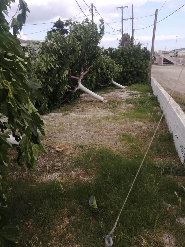 Bανδαλισμοί έξω από το γήπεδο και το Δημοτικό Σχολείο του Ταυρωνίτη στο Δήμο Πλατανιά (φωτογραφίες – βίντεο)