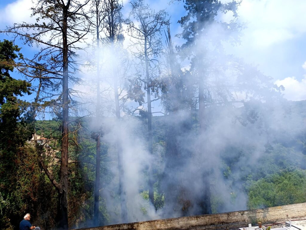Κάηκαν τα κυπαρίσσια δίπλα στο νεκροταφείο του Δήμου Πλατανιά