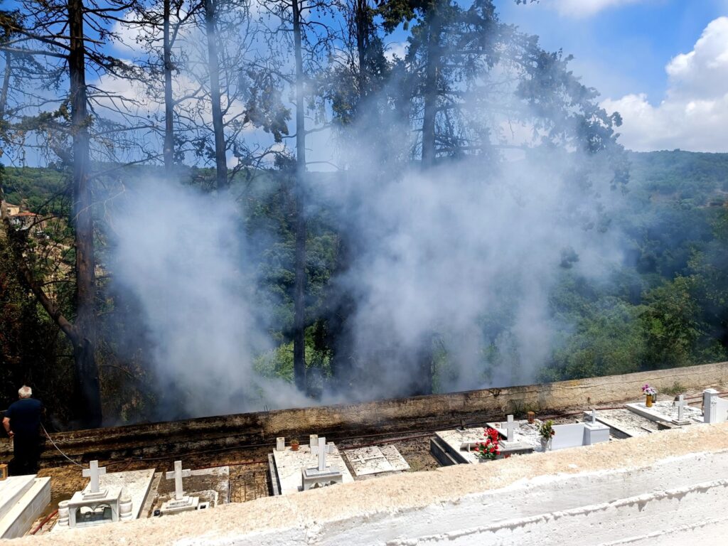 Κάηκαν τα κυπαρίσσια δίπλα στο νεκροταφείο του Δήμου Πλατανιά