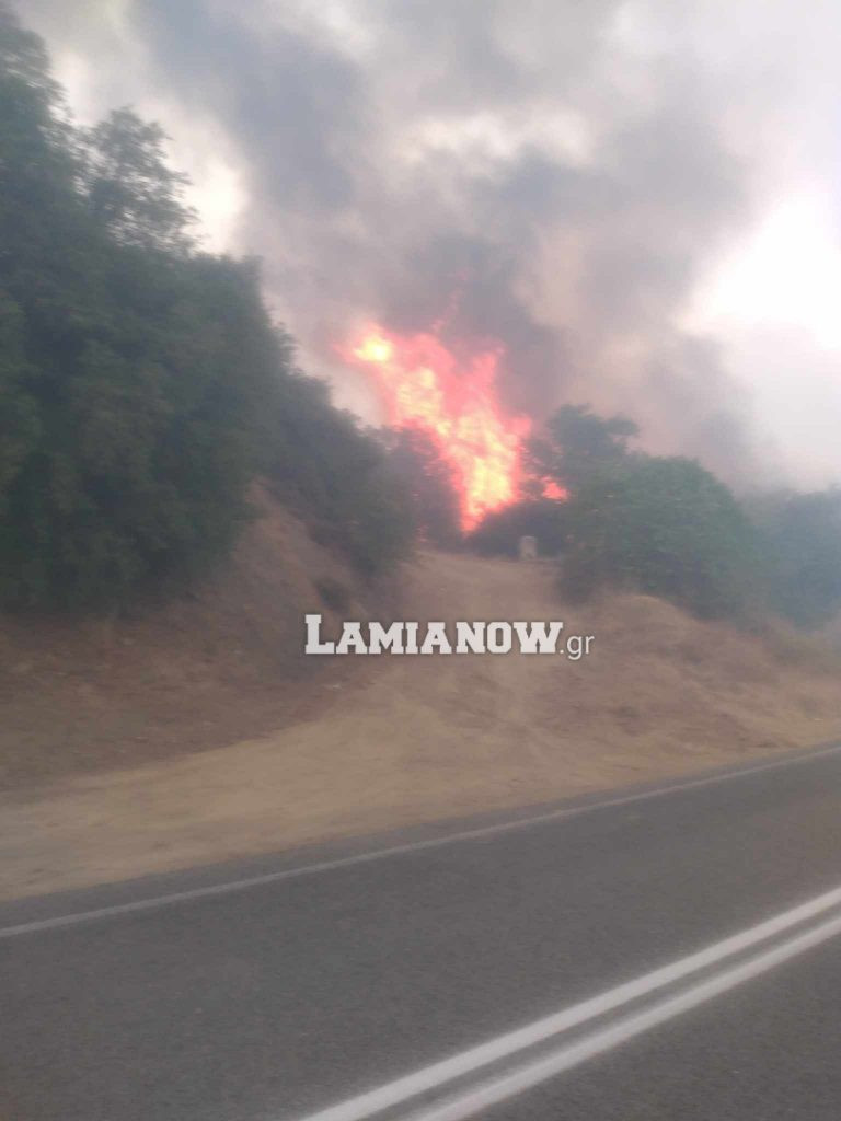 lamia