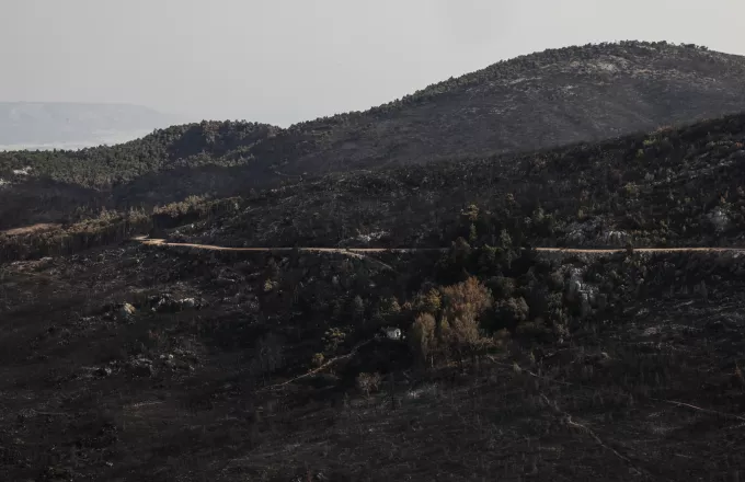 Αποκαρδιωτικές εικόνες από την καμένη Πάρνηθα | ΣΚΑΪ