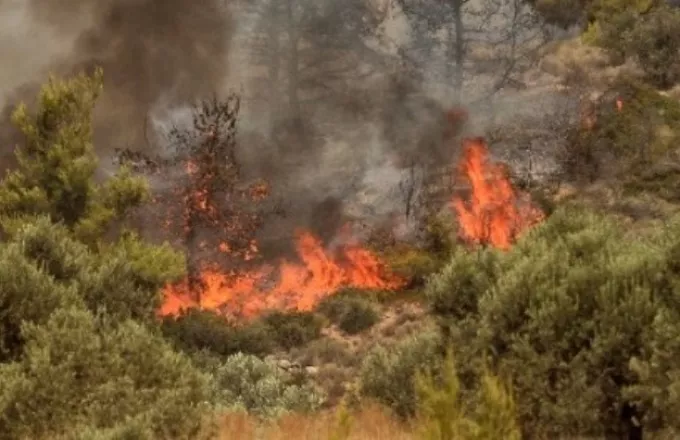 Έκλεισε τμήμα της Εγνατίας Οδού λόγω της φωτιάς στην Αλεξανδρούπολη - Προειδοποιητικό μήνυμα από το 112 στους κατοίκους | ΣΚΑΪ