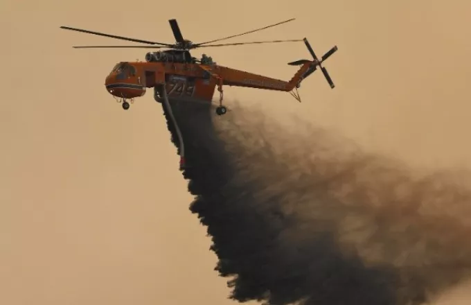 Φωτιά στη Ροδόπη: Μήνυμα από το 112 για εκκένωση της περιοχής Λεπτοκαρυά προς τις Σάπες | ΣΚΑΪ