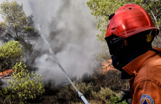 Φωτιά τώρα σε δασική έκταση στο Λάγιο Λακωνίας | ΣΚΑΪ