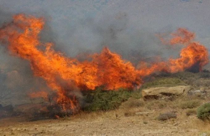Πυρκαγιά σε δασική έκταση στη Δημοτική Ενότητα Κέχρου στη Ροδόπη | ΣΚΑΪ