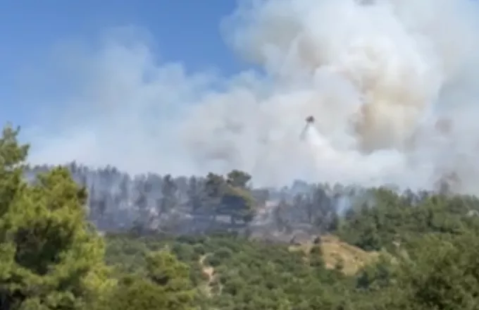 Σύλληψη άνδρα για εμπρησμό στον Κάλαμο Αττικής | ΣΚΑΪ