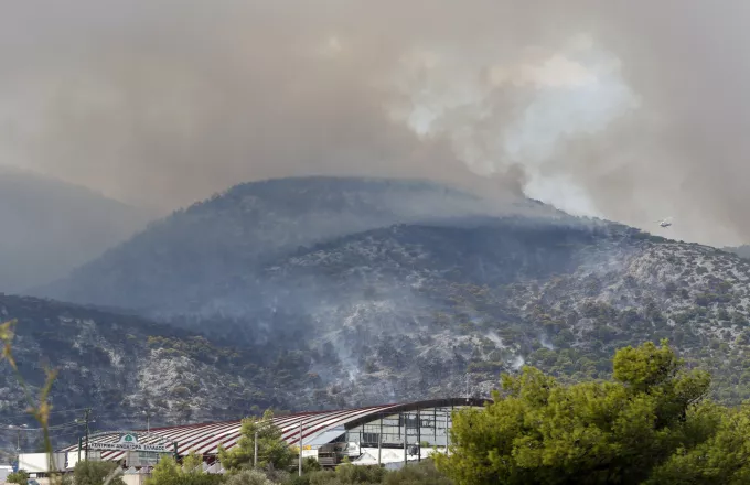 Σύσταση γραφείου εξυπηρέτησης για τους πυρόπληκτους στον Δήμο Αχαρνών | ΣΚΑΪ