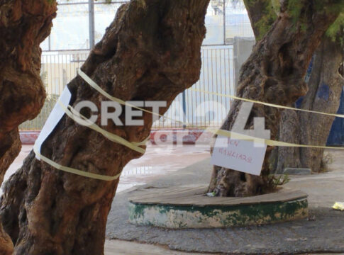 Επανέρχεται δικαστικά ο Δήμος Ηρακλείου για τα επικίνδυνα δέντρα