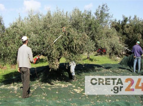 Λείπουν 17.000 εργάτες γης από τα χωράφια της Κρήτης