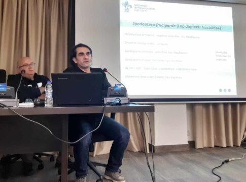 Ξεκίνησαν από την Ιεράπετρα οι ενημερωτικές εκδηλώσεις για την πρώτη εμφάνιση του Spodoptera frugiperda