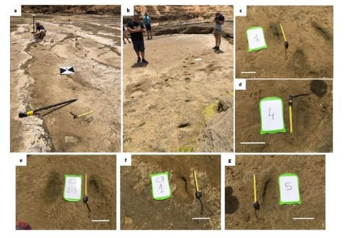 Πατημασιές