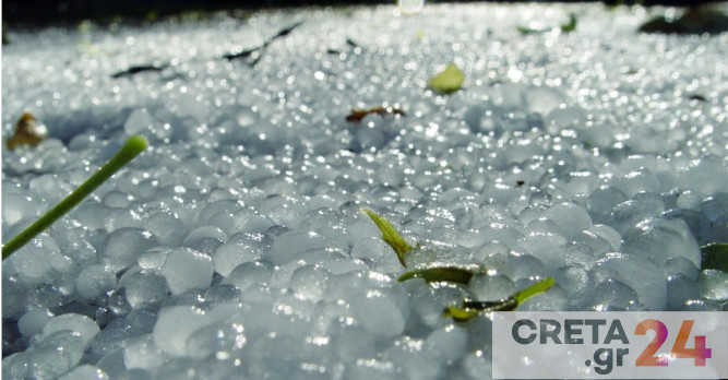 Δ. Πλατανιά: Ξεκίνησαν οι αιτήσεις για αποζημίωση των παραγωγών που επλήγησαν από την ανεμοθύελλα και την χαλαζόπτωση
