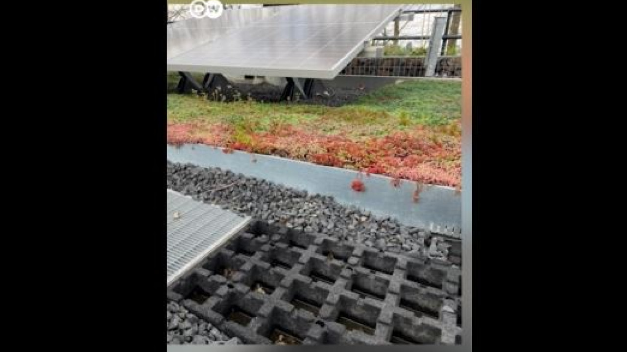 DW: «Πράσινη στέγη» από λάστιχα αυτοκινήτου - Το σχέδιο της ολλανδικής εταιρείας