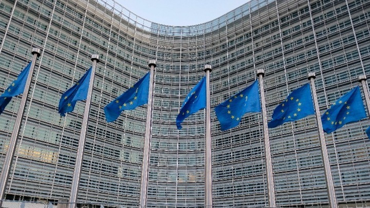 Ευρωεκλογές: Άνοδος της ευρωσκεπτικιστικής δεξιάς, σύμφωνα με μελέτη