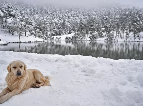 Οι συστάσεις του Δήμου Φαιστού για την κακοκαιρία