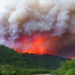 Αργεντινή: Μεγάλη πυρκαγιά κατακαίει το εθνικό πάρκο Los Alerces στην Παταγονία