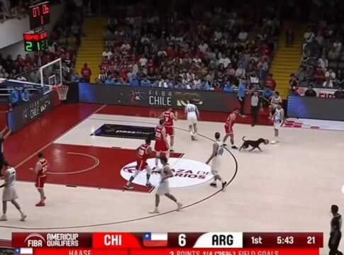 Εισβολή σκύλου στο παρκέ, διέκοψε το Χιλή-Αργεντινή!!! (Video)