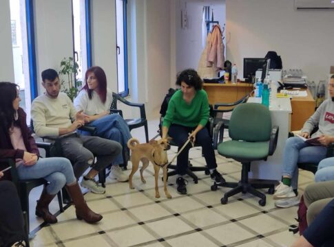 Εθελοντισμός και φιλοζωία, μαζί – Περίπατος με τα ζώα που φιλοξενούνται στο Δημοτικό Κυνοκομείο Ηρακλείου τις Κυριακές