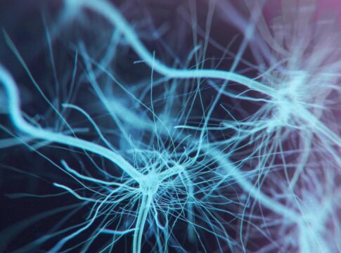 Η spin-off εταιρεία του Πανεπιστημίου Κρήτης «BioNature» υπέγραψε συνεργασία για την κλινική αξιοποίηση της συνθετικής της ουσίας ΒΝΝ27