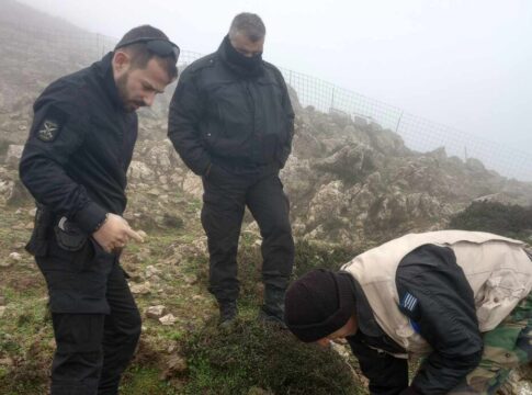 Ηράκλειο: Πέταξαν φόλες σε Καταφύγιο Άγριας Ζωής για να δηλητηριάσουν τα όρνια