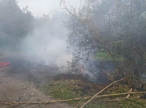 Κρήτη: Άναψαν φωτιές και «άρπαξαν» πρόστιμα των 500 ευρώ από την Πυροσβεστική