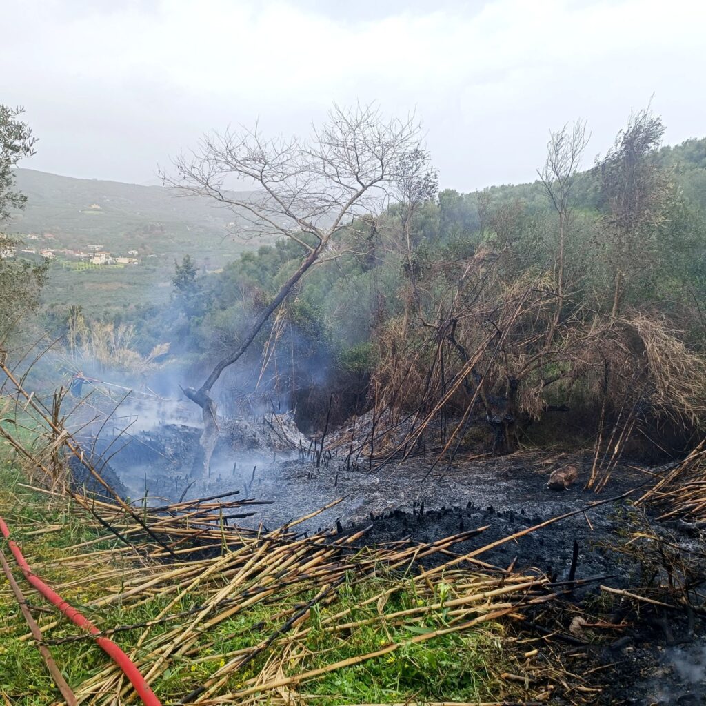Χανιά: Πρόστιμα 500 ευρώ σε δύο άτομα για κάψιμο κλαδιών σε χωριά του Δήμου Πλατανιά