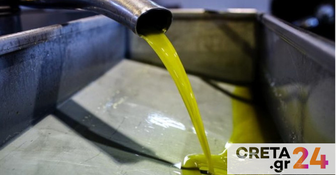 Κρήτη: «Σήκωσαν» μισό τόνο ελαιόλαδο από αποθήκη